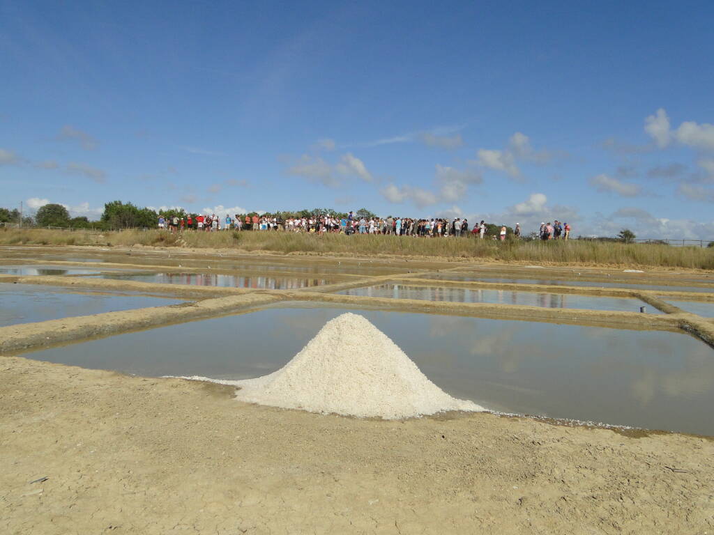 Salines en fête